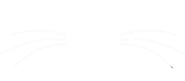 White Whiskers Senior Dog Sanctuary logo